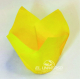 Tulip Amarillo 5x8 cm 10 uds 