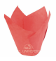 Tulip Rojo 5x8 cm 10 uds (B63)